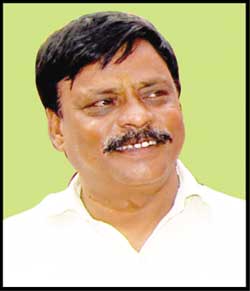 श्री हरिचरण सिंह जादौन 